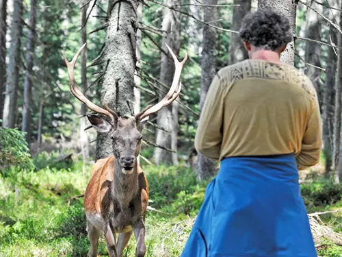 Jižní Čechy lákají na turistické novinky a neobjevené skvosty