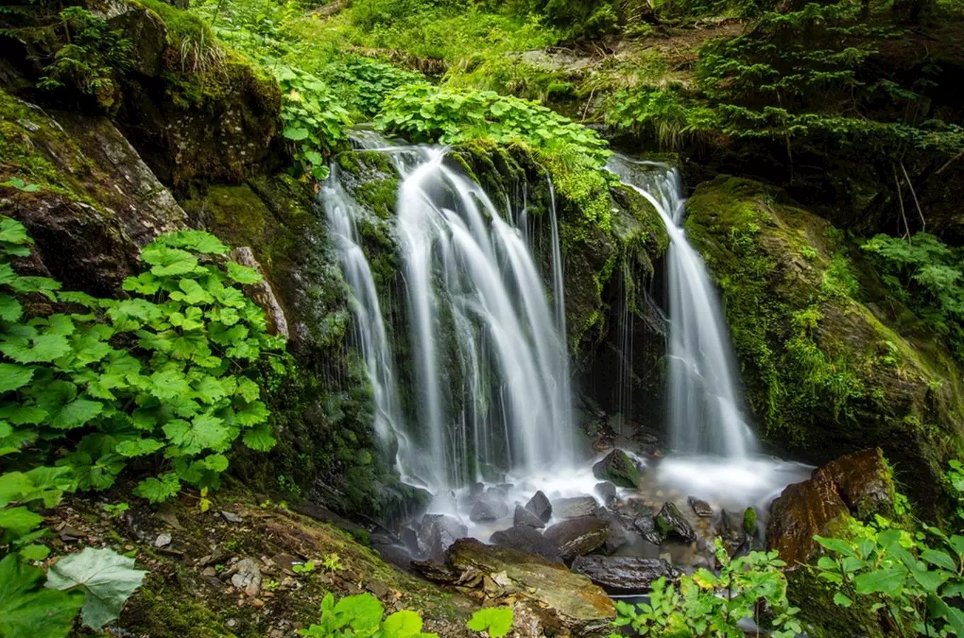 Výlet pro zdatné turisty v Jeseníkách – z Karlovy Studánky do Koutů nad Desnou