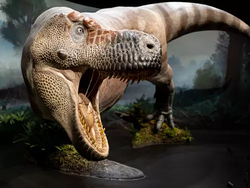 Jedno z největších soukromých muzeí dinosaurů na světě otevírá od října 2021 v Praze