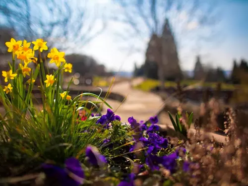 Život v trojské botanické zahradě se nezastavil – příchod jara mohou zájemci sledovat on-line