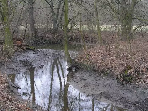 Mydlovarský luh - přírodní rezervace