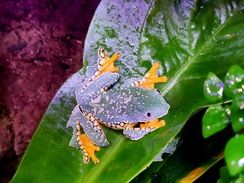 Zoo Liberec – dobrodružství z poznání