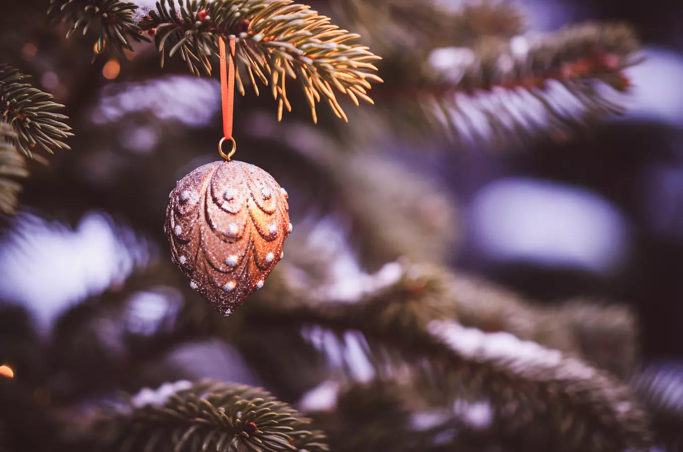 Slavnostní rozsvícení vánočního stromu v Blatné