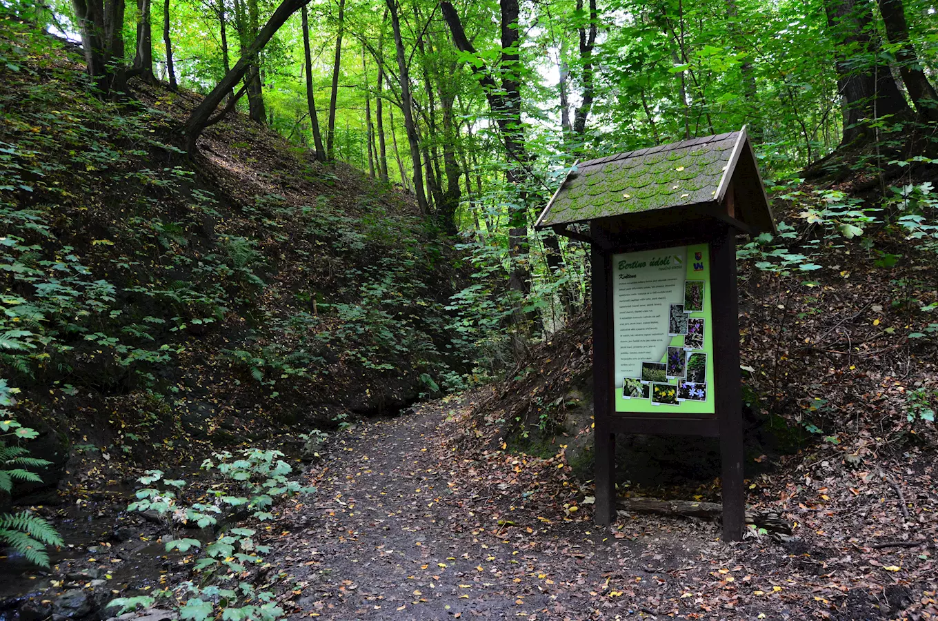 Bertino údolí v Ústí nad Labem