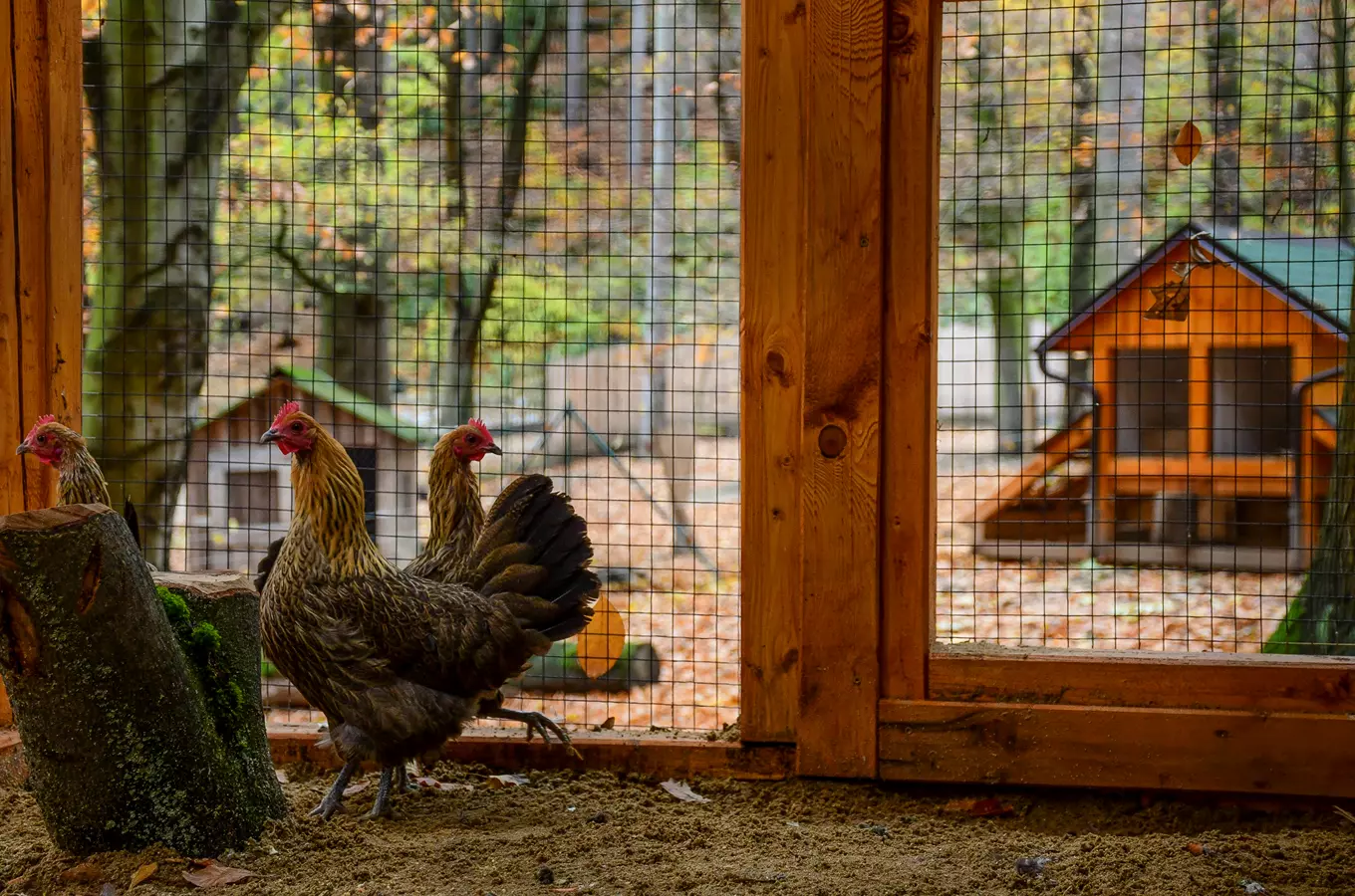 Zoo Jihlava – připravte se na zážitek