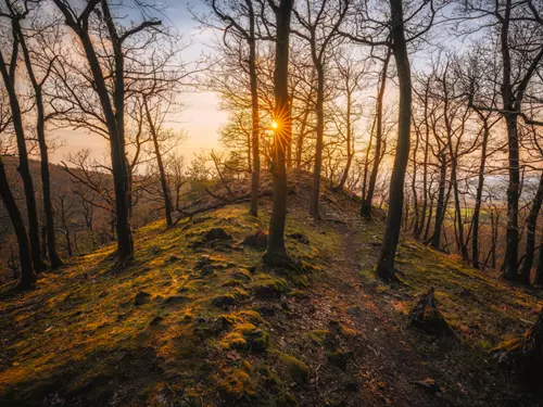 Zdroj foto: brdyapodbrdsko.cz