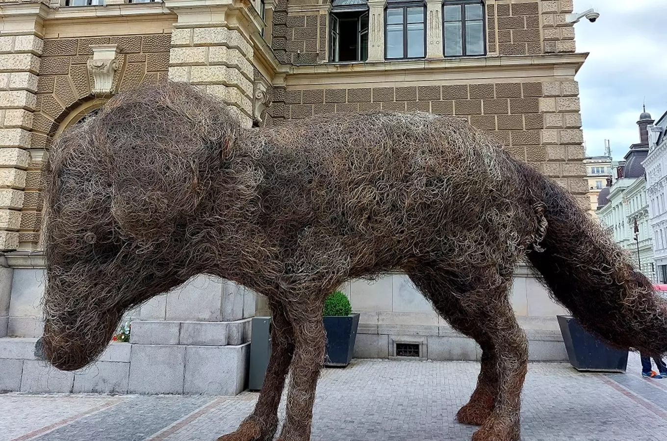 Vulpes v Liberci – instalace Františka Skály