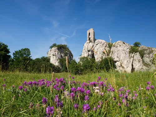 Pálava, Kudy z nudy, archeologie