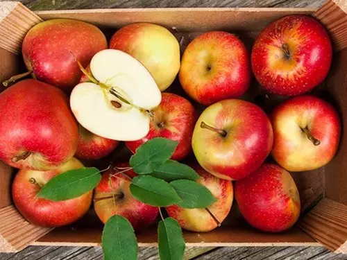 Ovocné sady Bříství – zdravé ovoce z Polabí