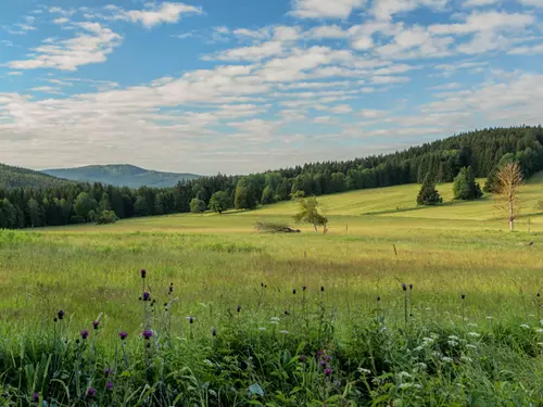 Běžky nebo pěšky, Kudy z nudy