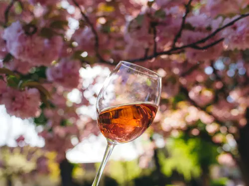 Prožijte růžové léto v pražské Svatováclavské vinici