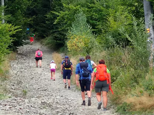 3941  stoupák na Kozubovou