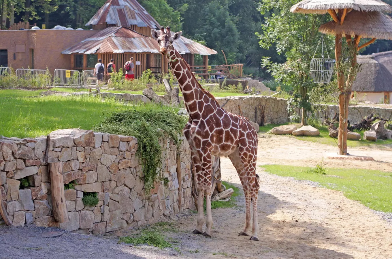 Prázdniny začínají v Zoo Jihlava!
