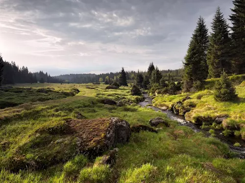 Národní park Šumava – zelené srdce Evropy