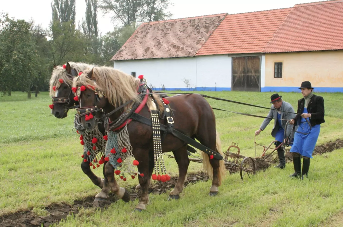 Podzim na dědině ve skanzenu Strážnice