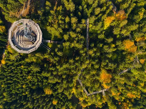 Podzimní stezky v korunách stromů – užijte si výlety nad zemí a v oblacích