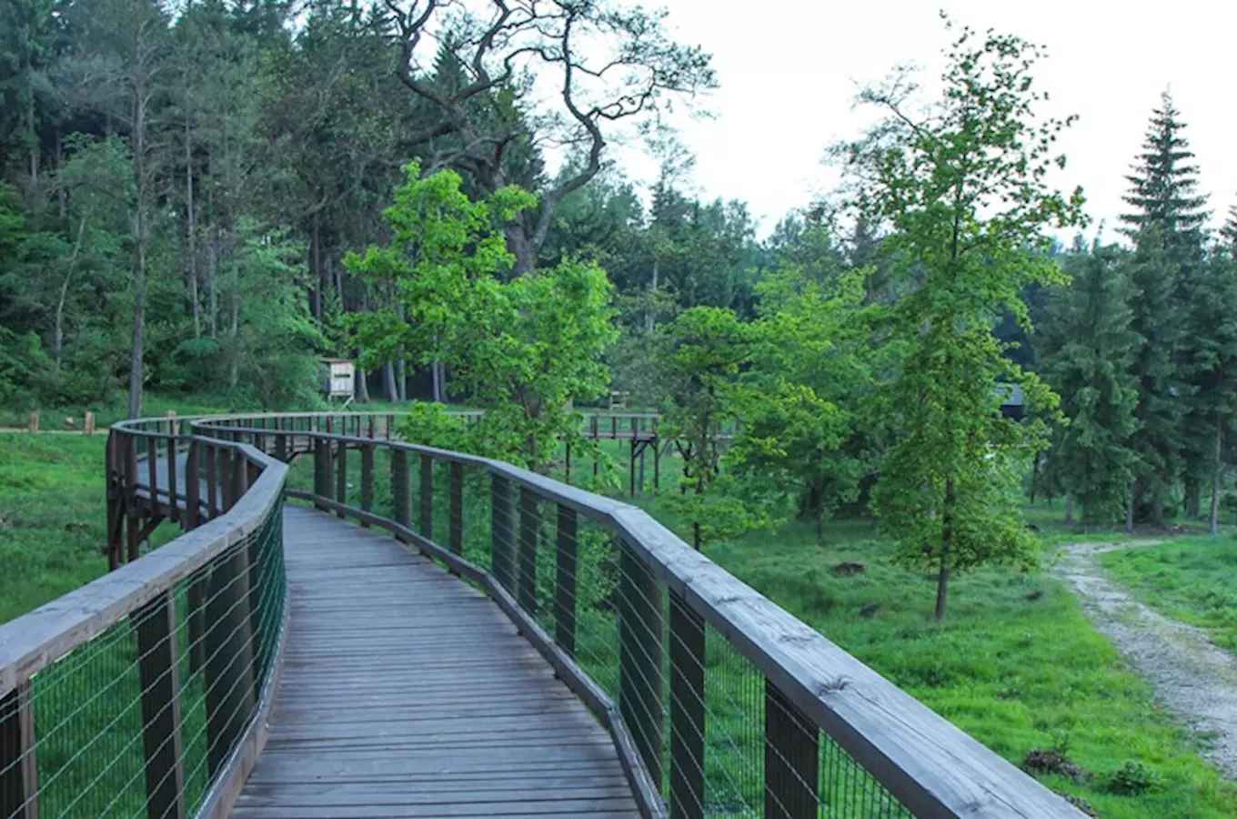 Obora svatý Linhart v Karlových Varech s visutými můstky