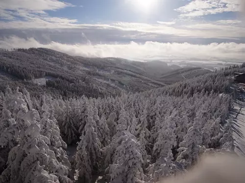 Visutý most přes údolí na Dolní Moravě – Sky Bridge 721, Kudy z nudy