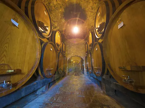 Moravíno – výroba vína ve Valticích