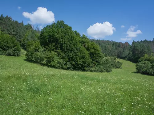 Národní přírodní památka Švařec na Svratecku