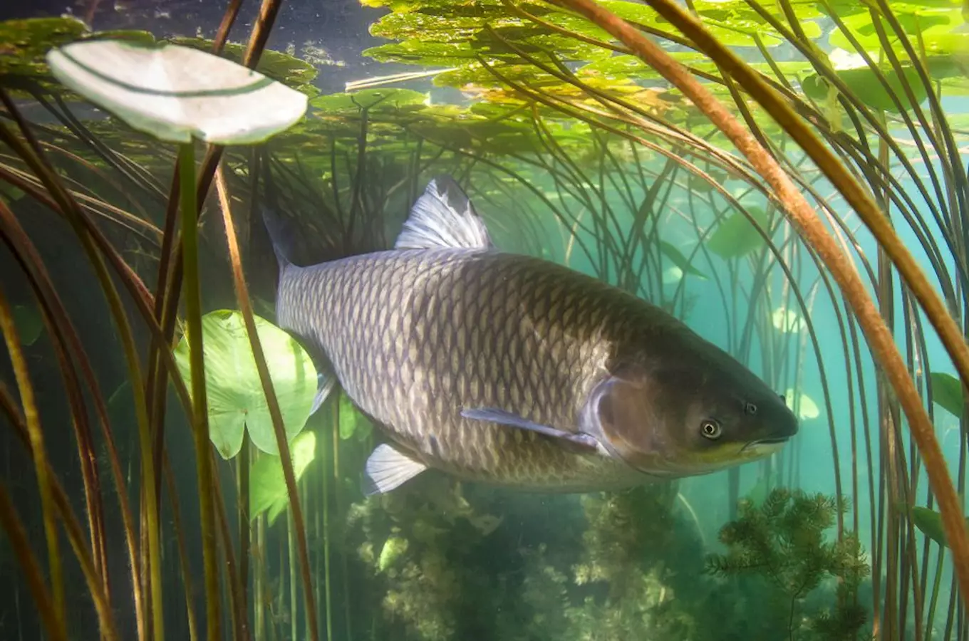 Otevření nové expozice Pod hladinou v Zooparku Vyškov