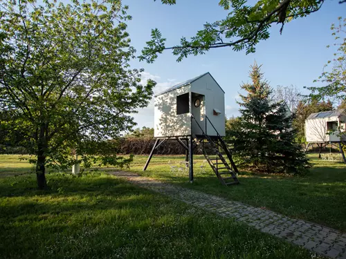 Posed Glamping