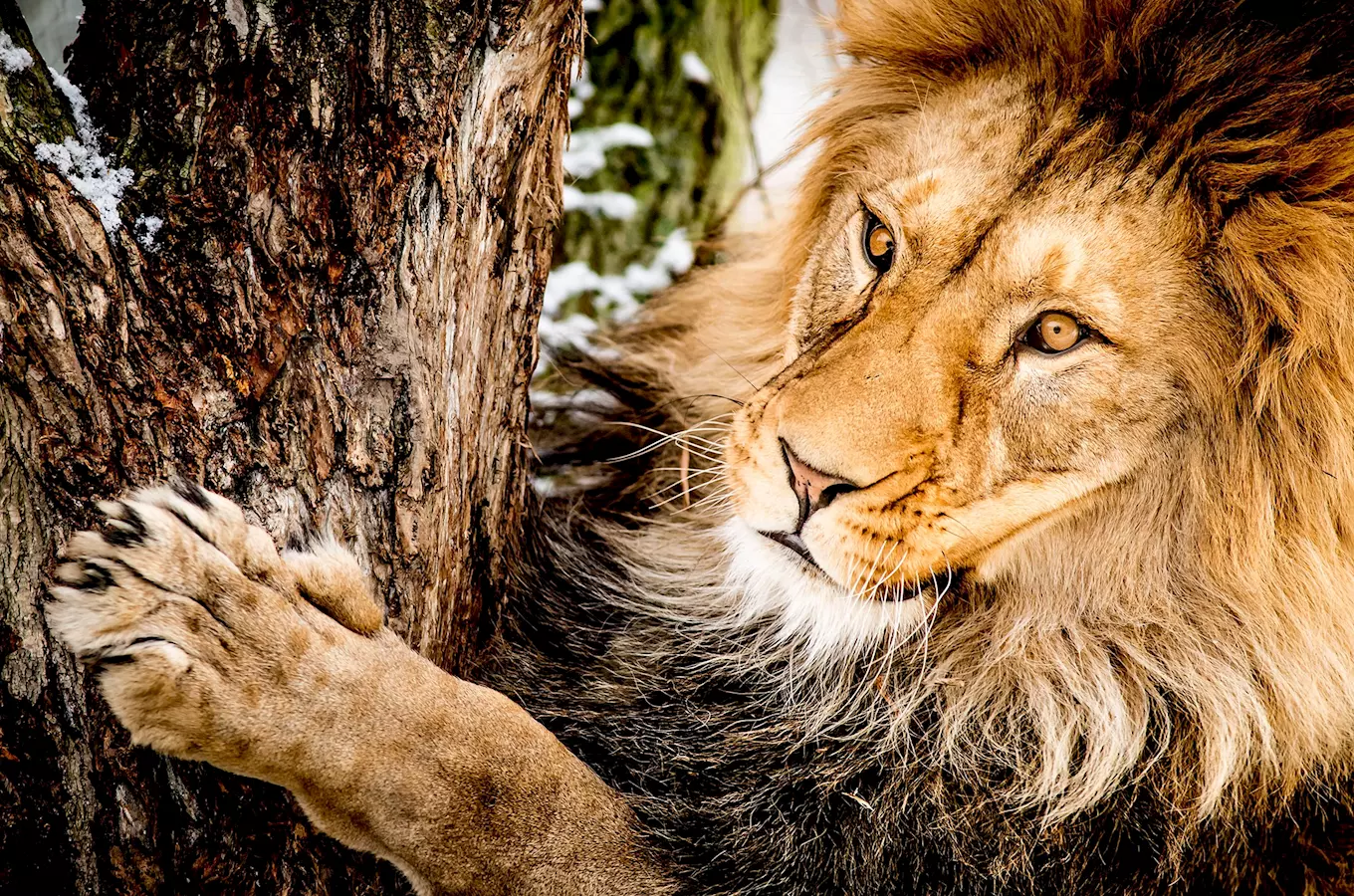 Zoo Ústí nad Labem – vstupte do říše zvířat