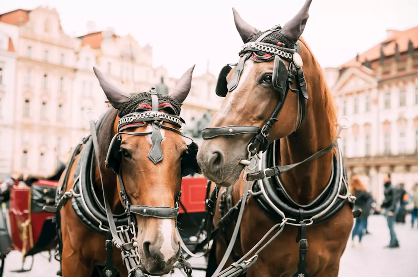 Dopřejte si romantickou vyjížďku kočárem