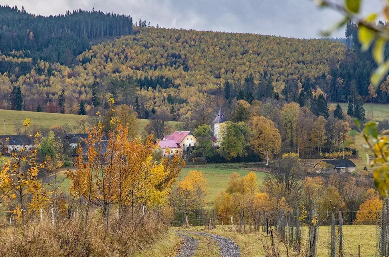 Zdroj foto: FB ŠumavaNet