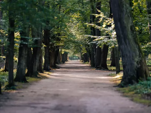 Zámecký park v Blatné