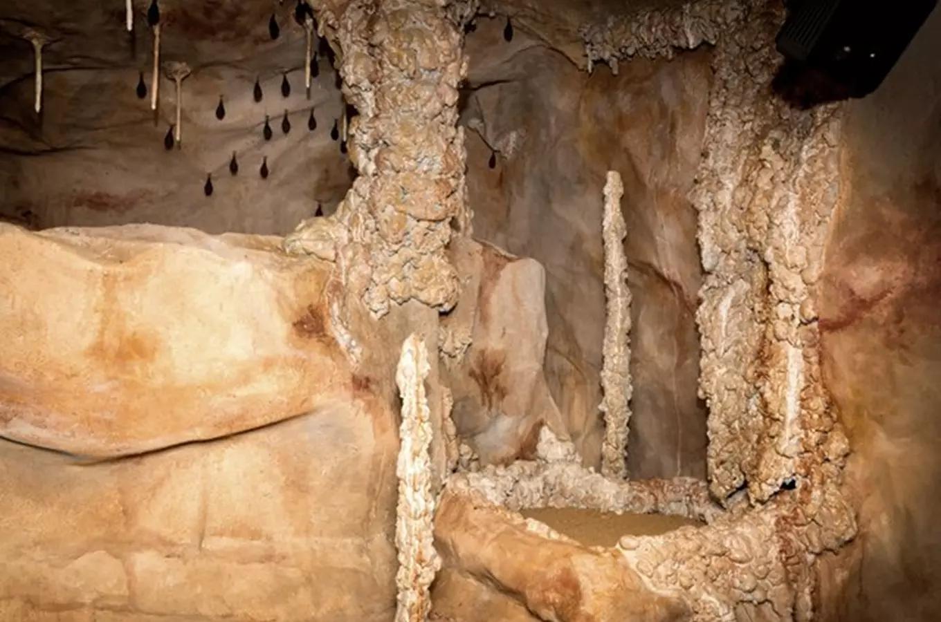 Objevte jeskyně pod věží: nová výstava na pardubickém zámku láká na život ve věčné tmě
