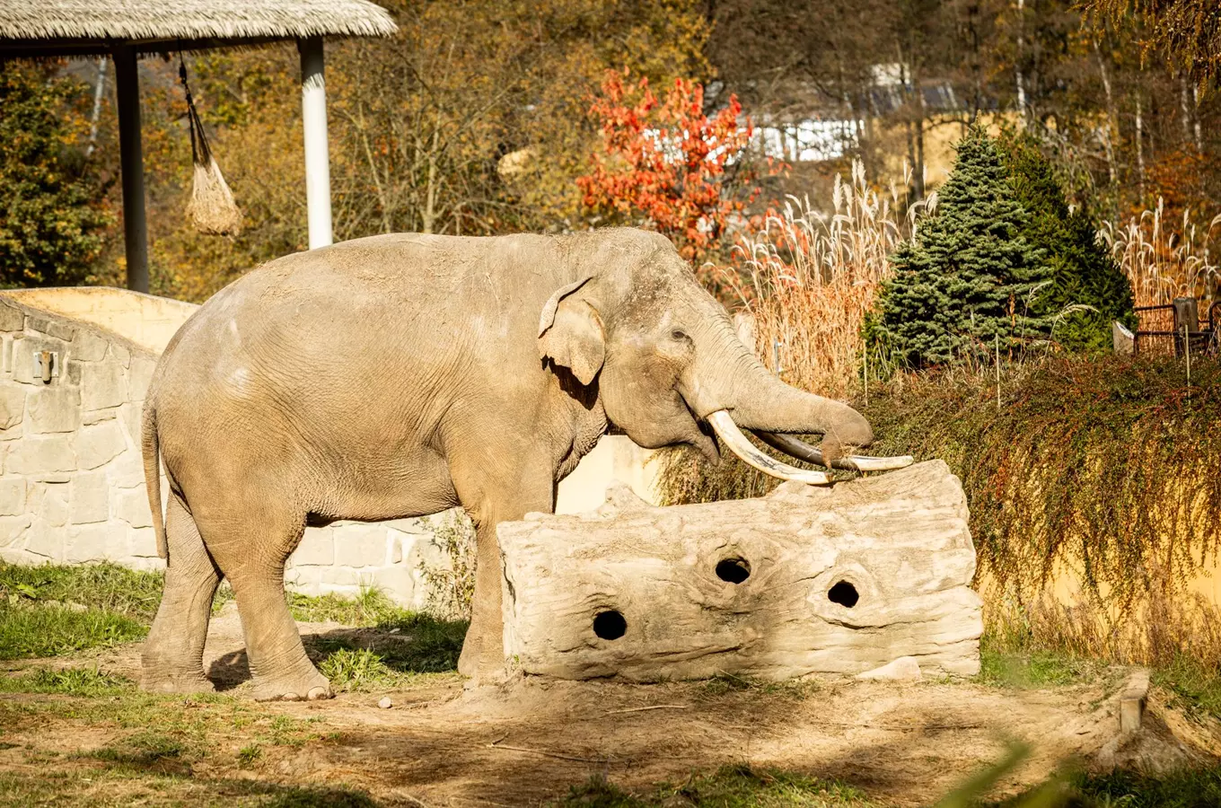 Zoo Ostrava – Zoologická zahrada a botanický park v Ostravě