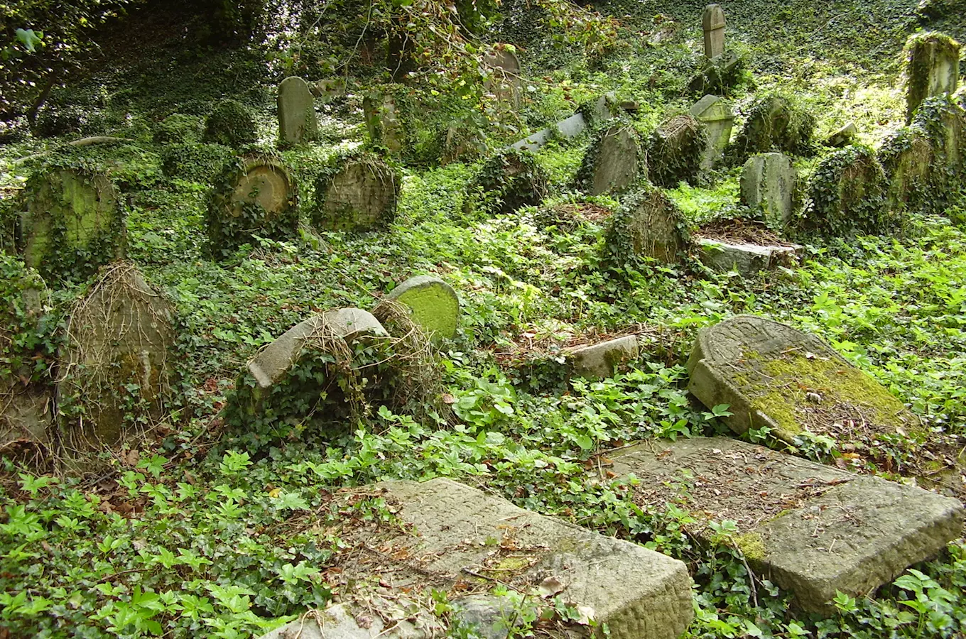 Židovský hřbitov v Blovicích