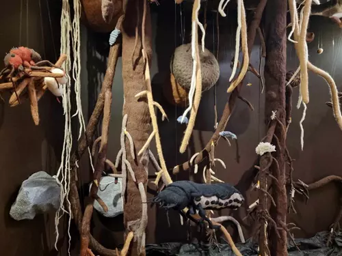 Výstava Kořeny – Sládečkovo vlastivědné muzeum v Kladně