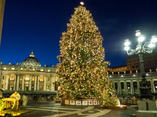 vánoční strom ve Vatikánu