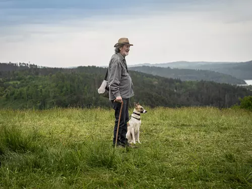 Česko ve filmu: Gump se vrací do kina s rekordem v počtu psů ve filmu