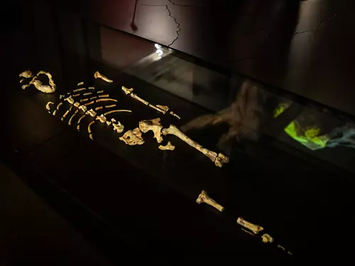 Setkání s objeviteli Lucy a Selam