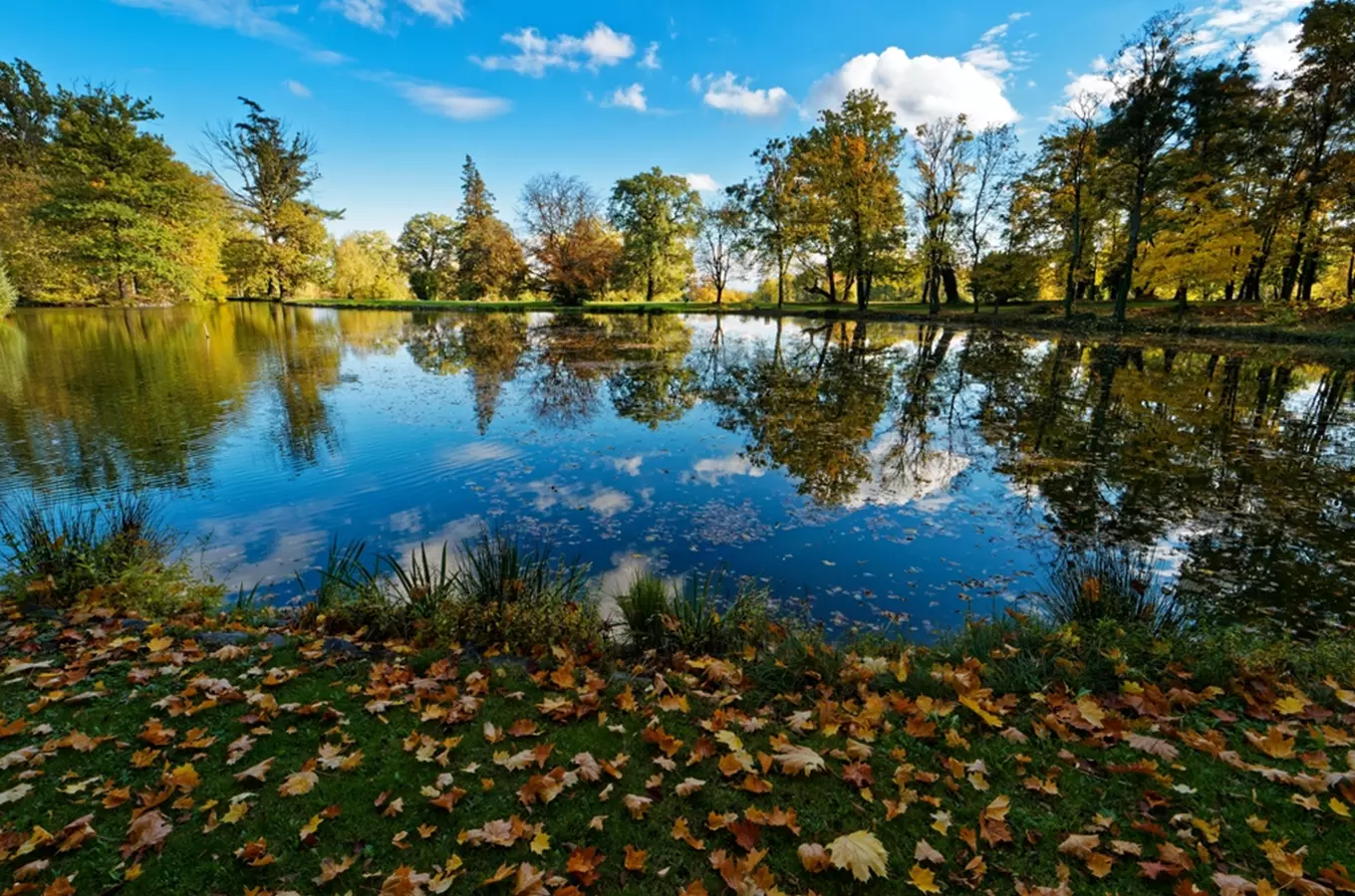 Zámecký park Šilheřovice