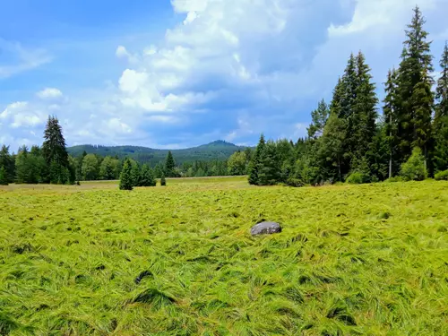 Výlety pro samotáře, Kudy z nudy, Šumava