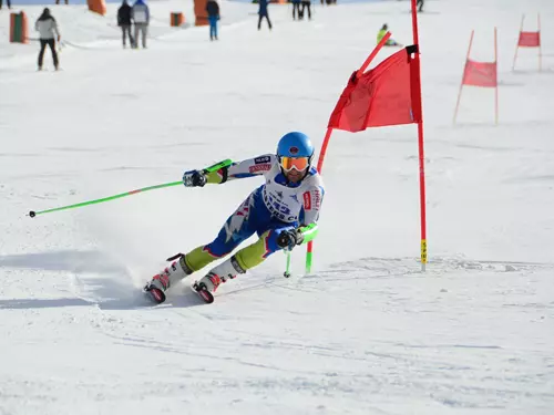 FIS Masters Cup – Světový pohár v alpském lyžování