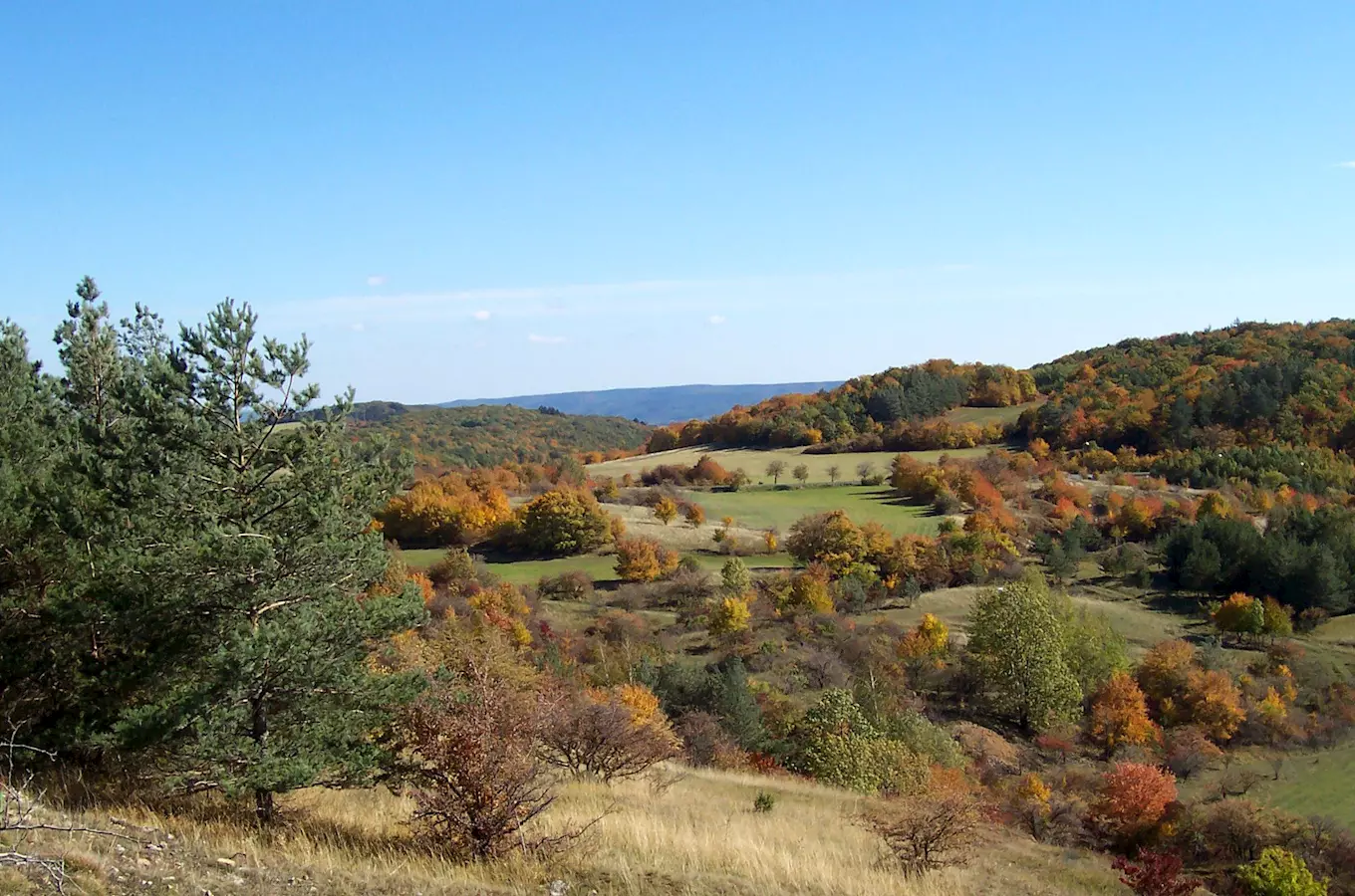 Chráněná krajinná oblast Český kras