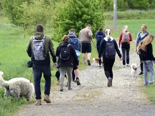 Dogský pochod a Den otevřených dveří útulku Dogsy