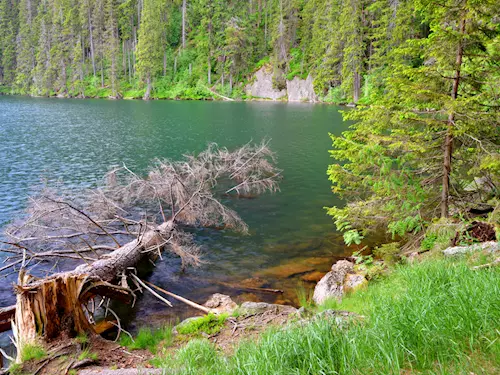 Šumava, Kudy z nudy, výlet do přírody