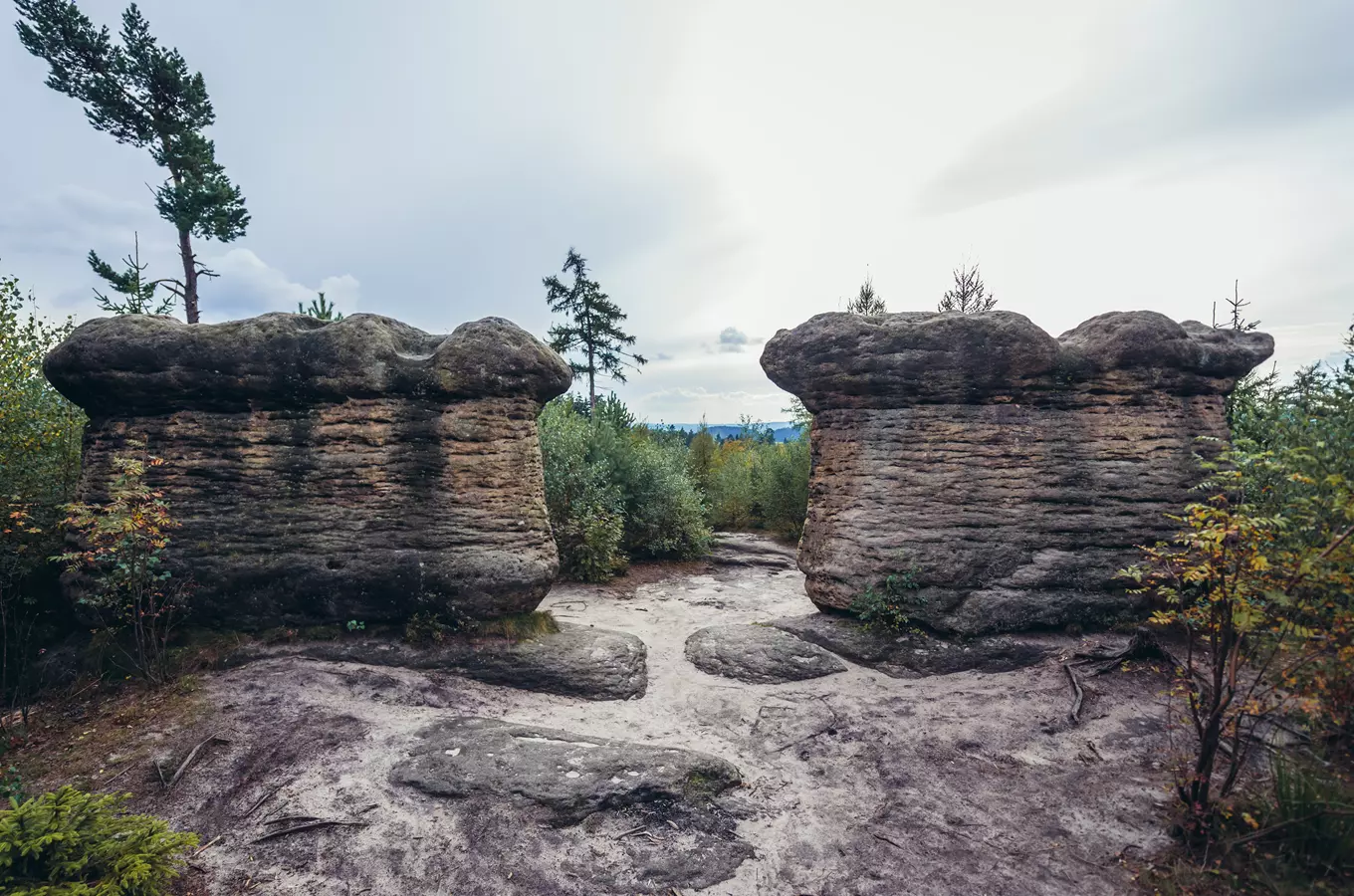 Slavenské hřiby, kudy z nudy