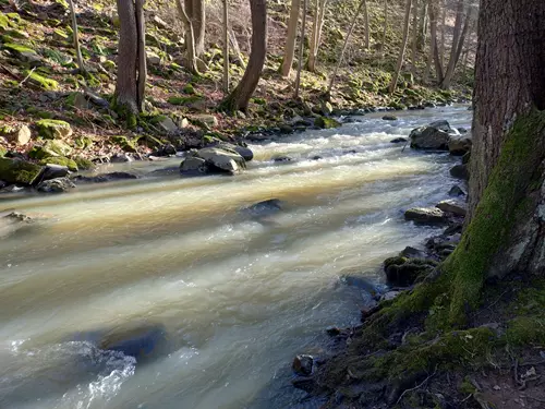 Zbirožský potok nad Skryjskými jezírky