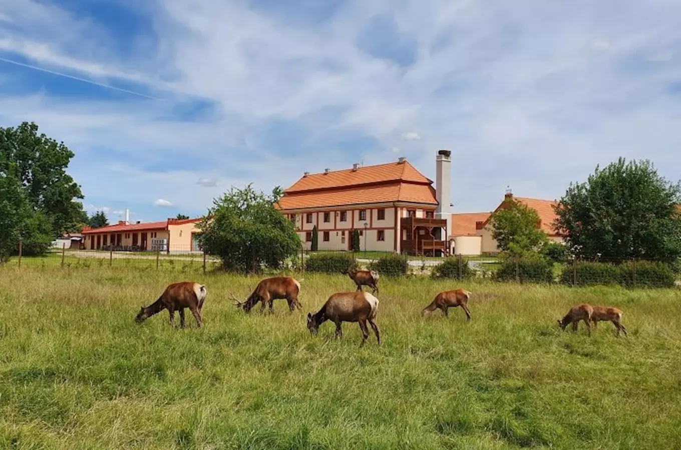 Safari Resort Hluboká u Borovan