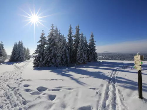 Běžky nebo pěšky, Kudy z nudy