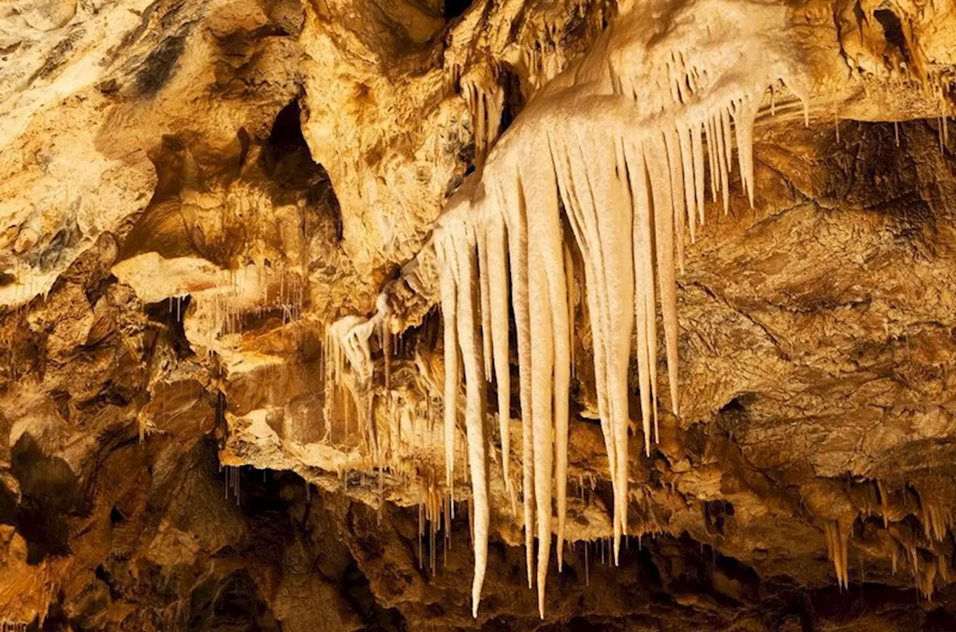 Javoříčské jeskyně – jeskyně s nejbohatší výzdobou v ČR