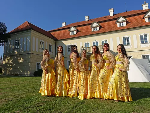 Dny soukromých hradů a zámků na zámku Všechovice