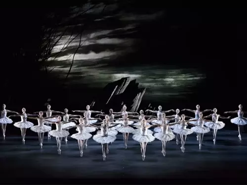 ROYAL LONDON BALLET - LABUTÍ JEZERO